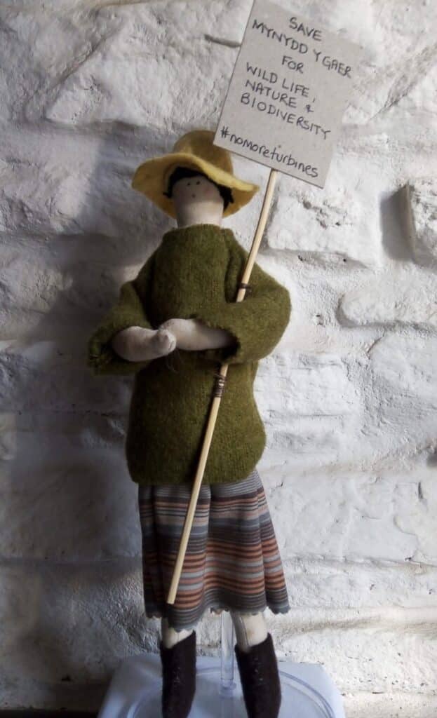 Saving Mynydd y Gaer